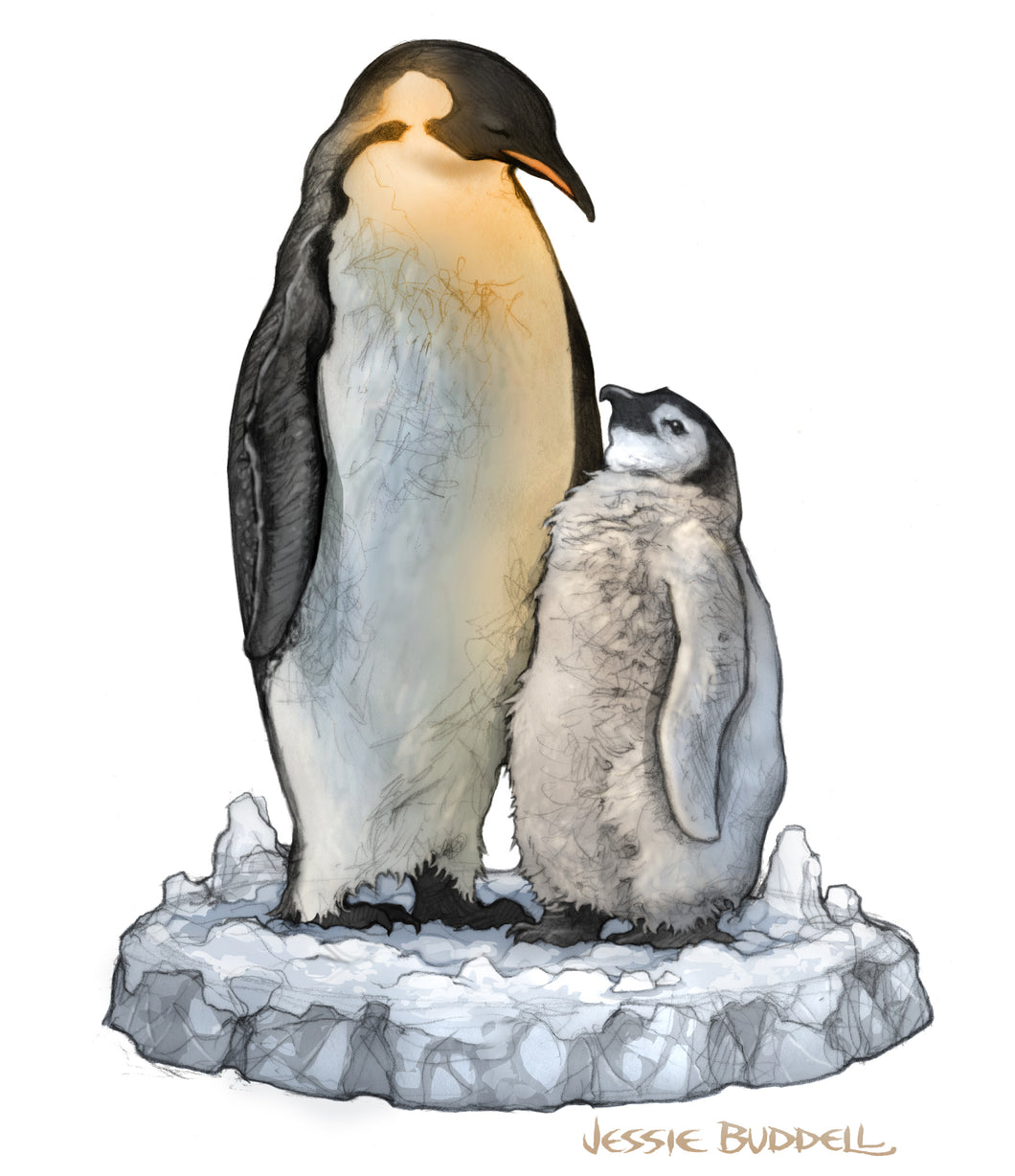 Penguins illustration - figurine