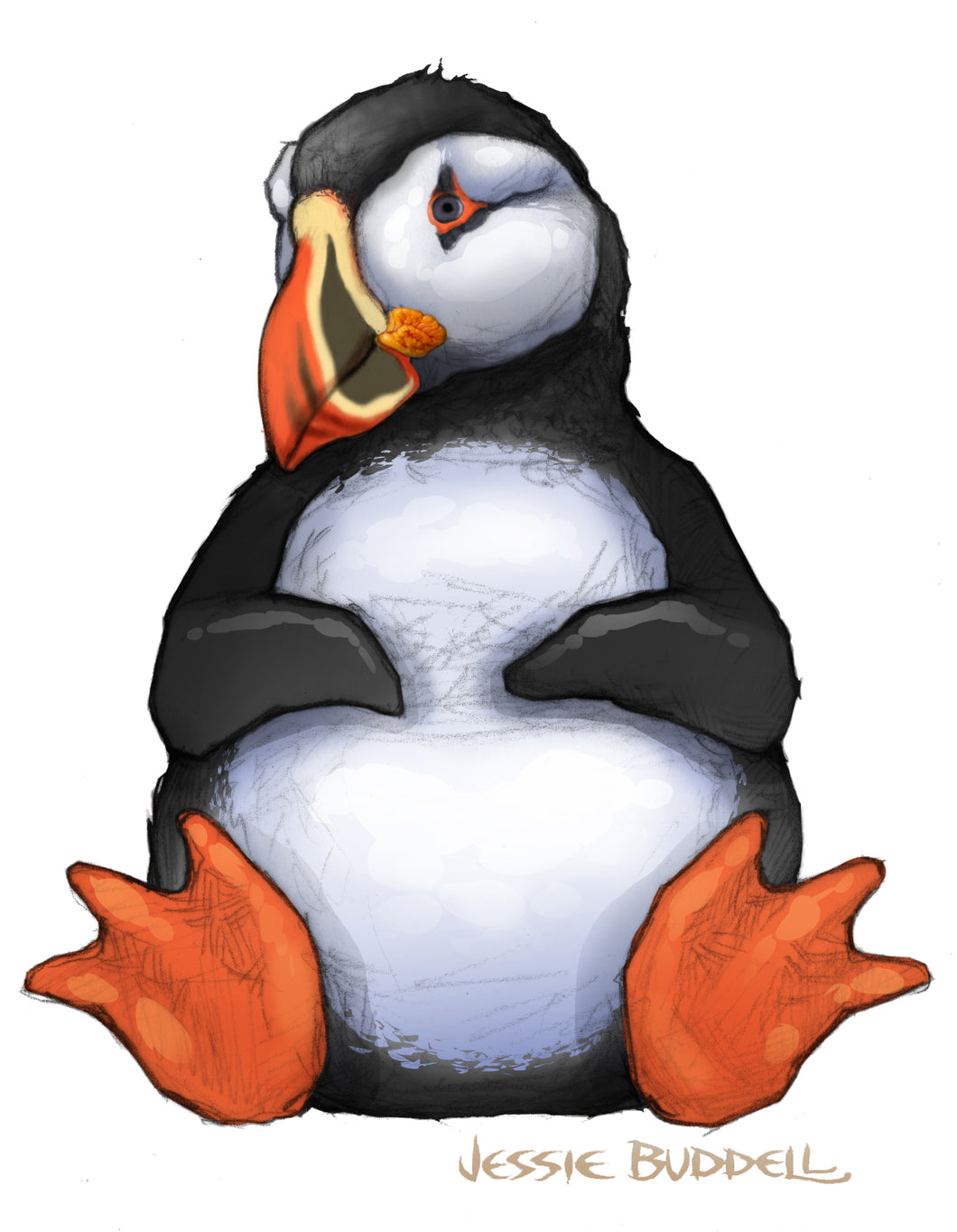 Puffin illustration - plush