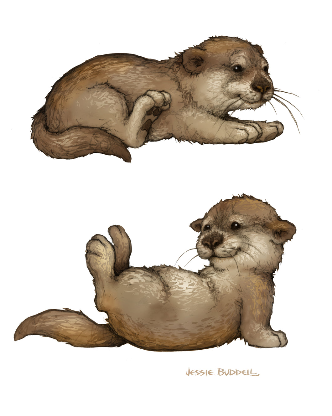 Otters illustration - plush