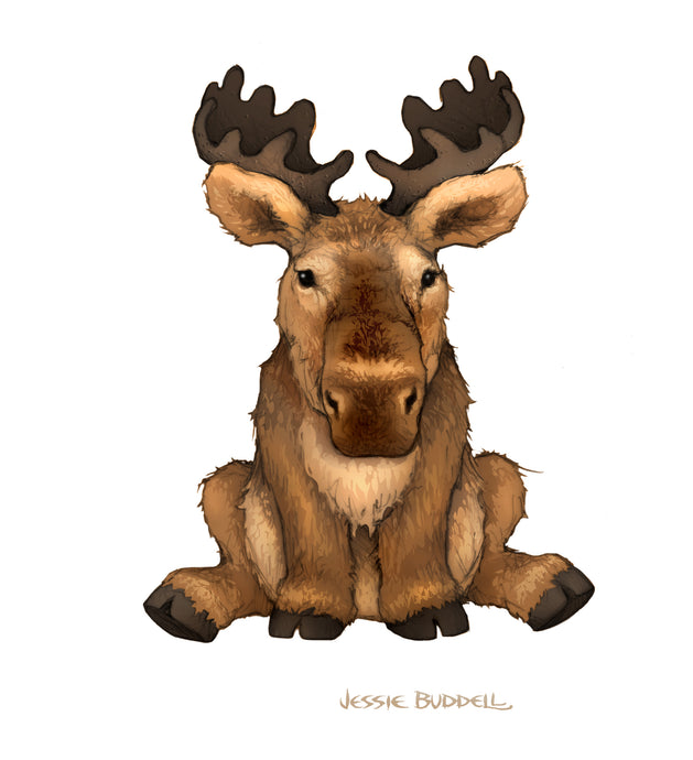 Moose illustration - plush