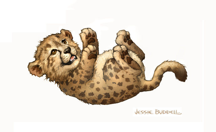 Cheetah cub illustration - plush toy